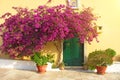 Corfu Island, Greece. Tree with pink flowers and church entrance Royalty Free Stock Photo