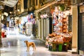 Corfu old town (Kerkyra) city streets by night Royalty Free Stock Photo