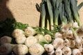 Fresh Young Garlic With Small Roots And Vegetables Royalty Free Stock Photo