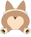 Corgi Butt Sploot Isolated on White with Clipping Path Royalty Free Stock Photo