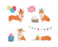 Corgi dog birthday party set. Cute cartoon pet with cake, balloons, confetti and gift box on white background. - Vector Royalty Free Stock Photo