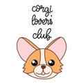 Corgi dog breed lettering vector illustration in cartoon style.