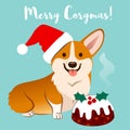 Corgi dog in Christmas Santa hat with fruitcake vector cartoon i