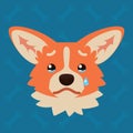 Corgi dog emotional head. Vector illustration of cute dog in flat style shows sad emotion. Crying emoji. Smiley icon