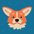 Corgi dog emotional head. Vector illustration of cute dog in flat style shows sad emotion. Crying emoji. Smiley icon Royalty Free Stock Photo