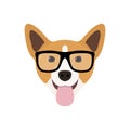 Corgi Dog in fashions glasses. Funny dog icon.