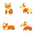 Corgi dog icons set cartoon vector. Cute standing running and lying dog