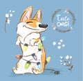 Corgi Dog Play Christmas Garland Vector Poster. Happy Fox Pet Character New Year Illustration Series with Flower. Little