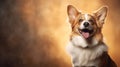 Corgi dog.Corgi dog portrait close up. Horizontal banner poster background. Copy space. Photo texture AI generated