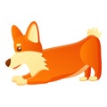 Corgi dog ready to play icon, cartoon style