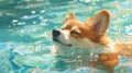 Corgi dog swims in the pool, in cartoon style, in anime aesthetic,pastel colors, cute and dreamy