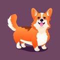 Corgi dog vector cartoon illustration. Cute friendly welsh corgi puppy sitting, smiling with tongue out isolated on