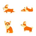 Corgi icons set cartoon vector. Cute standing running and lying dog