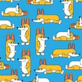 Corgi pattern seamless. small dog background. cute pet vector texture Royalty Free Stock Photo