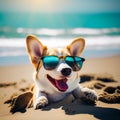 Corgi Pembroke puppy on sea coast. Dog beach and walking concept. World Pet Day. Concept image for veterinary clinics Royalty Free Stock Photo