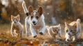 A Corgi puppy bounds ahead, followed by three kittens in a golden field.