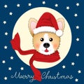 Corgi Santa Claus with Red Scarf on Blue Christmas Greeting Card. Vector Illustration