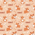 Corgi seamless pattern. Cute puppies background. Vector