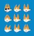 Corgi set emoji avatar. sad and angry face. guilty and sleeping. Pet sleeping emotion face. Dog Eggplant. Vector illustration