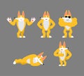 Corgi set poses. Dog happy. Pet sleeping and angry. guilty and sad. Vector illustration Royalty Free Stock Photo