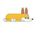 Corgi sleeping isolated. asleep small dog cartoon. cute pet vector illustration