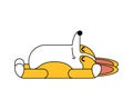 Corgi sleeping isolated. asleep small dog cartoon. cute pet vector illustration