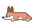 Corgi sleeping isolated. asleep small dog cartoon. cute pet vector illustration