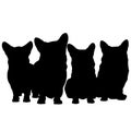 Corgi vector eps Hand drawn, Vector, Eps, Logo, Icon, crafteroks, silhouette Illustration for different uses Royalty Free Stock Photo