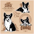 Corgi - vector set for t-shirt, logo and template badges