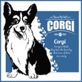 Corgi - vector template for t-shirt, logo and badges