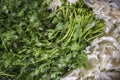 Coriander and chop cabbage for food dish arrangment