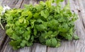 Coriander or cilantro bouquet