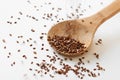 Coriander and flax seeds pouring into wooden spoon