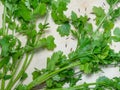Coriander greens on the table. cilantro. Greenery from the garden. Cutting board. Cooking. Vegan food. Useful product. Ingredient