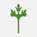 Coriander herb icon, cartoon style