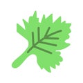 Coriander Icon Image.