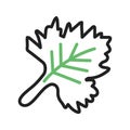 Coriander Icon Image.