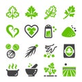 Coriander icon set