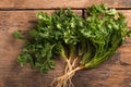 Coriander leaves, fresh green cilantro on wooden background . Royalty Free Stock Photo