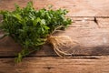 Coriander leaves, fresh green cilantro on wooden background . Royalty Free Stock Photo