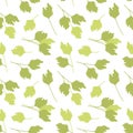 Coriander leaves seamless vector pattern