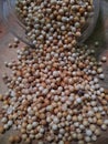 Coriander is one of the most important ingredients in Asian