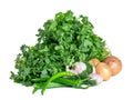 Coriander, parsley and other vegetables isolated on white background