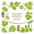 Coriander elements set