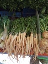 Coriander root, on the market ready for sale