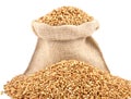 Coriander seed Royalty Free Stock Photo