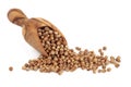 Coriander Seed