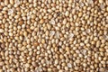 Coriander seed background Royalty Free Stock Photo
