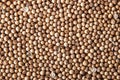 Coriander seed background close-up Royalty Free Stock Photo