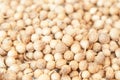 Coriander seed Royalty Free Stock Photo